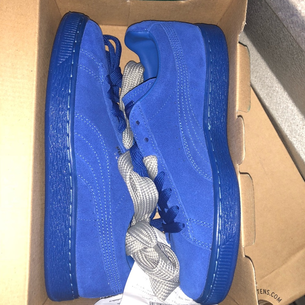 All blue pumas